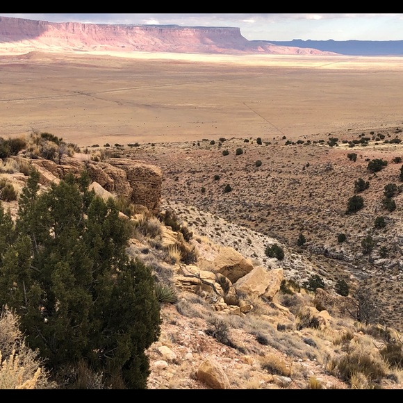 Meet your Posher, Sarah - Picture 9 of 15